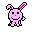 rabbit