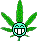 weed